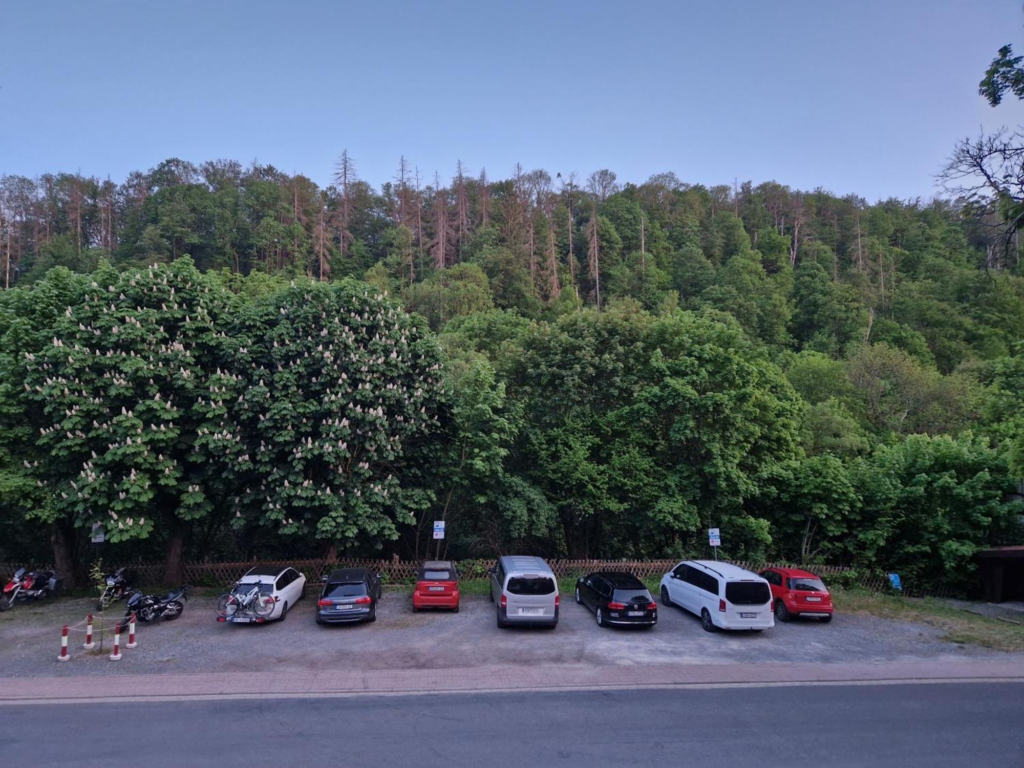 Hotel Weisses Ross Altenbrak Exterior foto